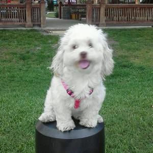 Meet your Posher, Wanda